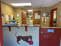 Front Office Counter